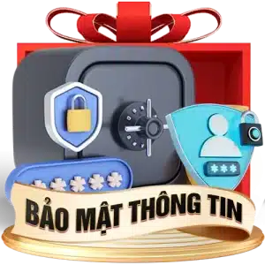 icon-bao-mat-300x300-1